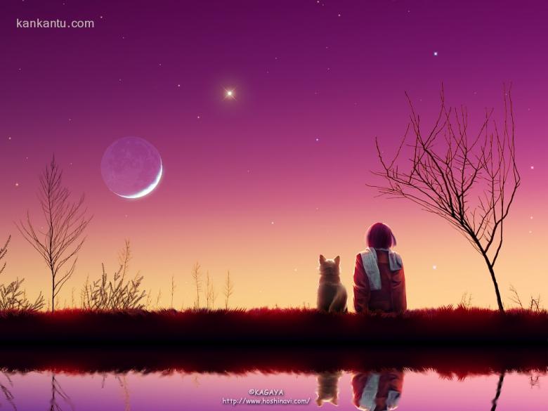 送你一片星空