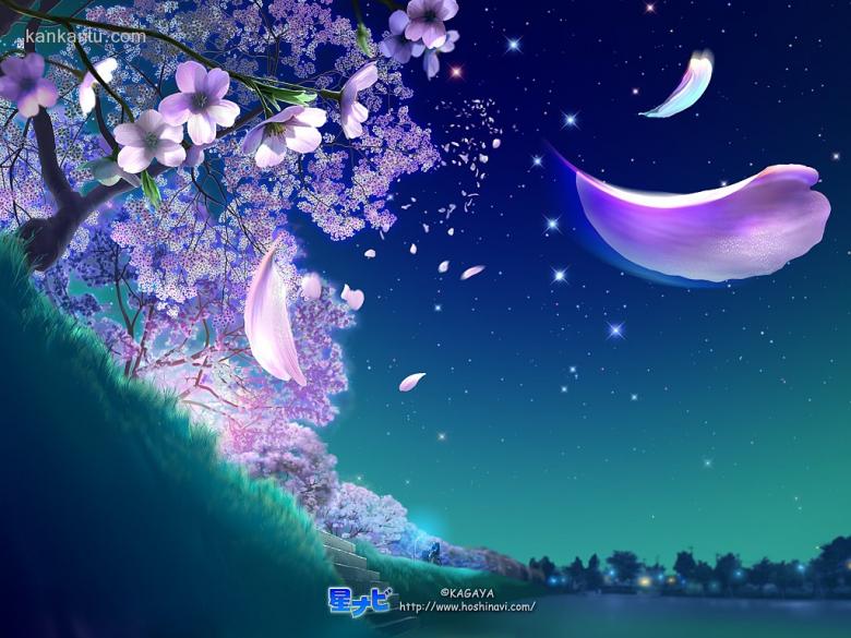 送你一片星空