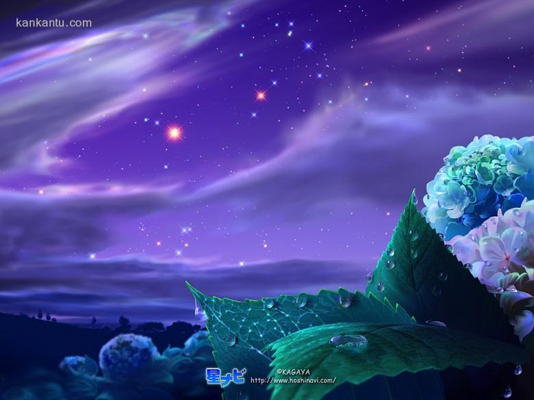 送你一片星空