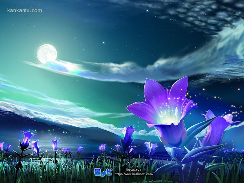 送你一片星空