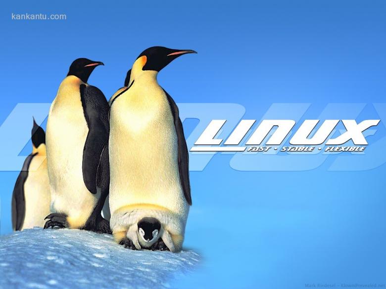 精品Linux桌面