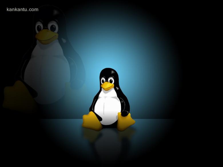 精品Linux桌面