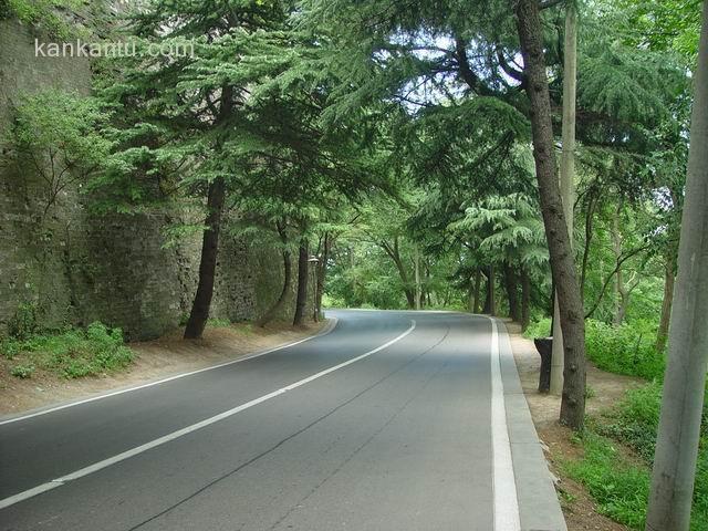 南京风光_城墙边的山路