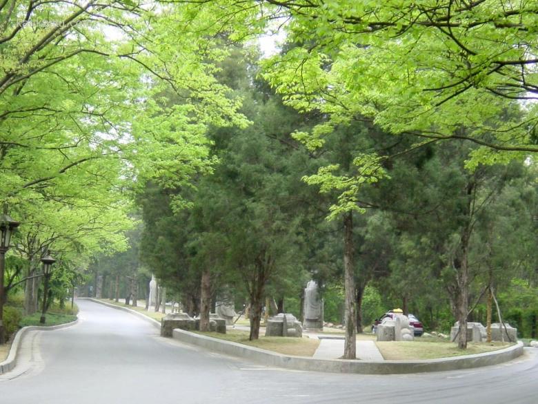 南京风光_明孝陵