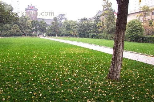 南京风光_南大校园景色
