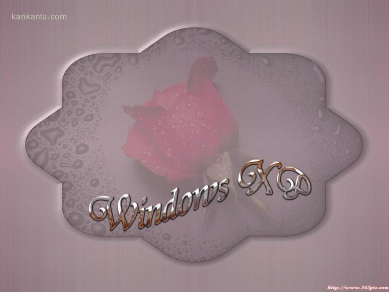 WinXP壁纸