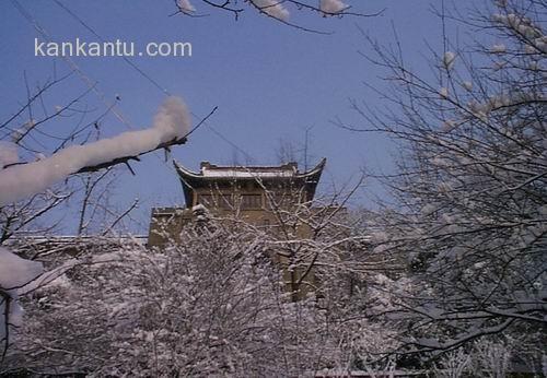 武汉大学美景