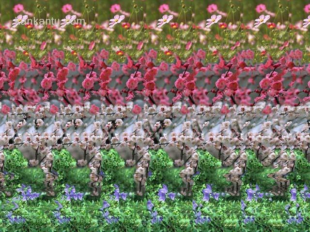 你能看出来吗？
