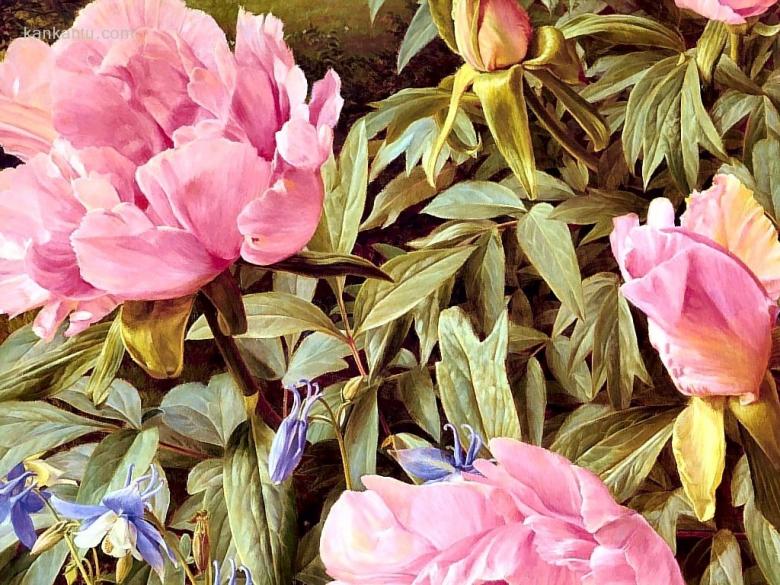 手绘花草