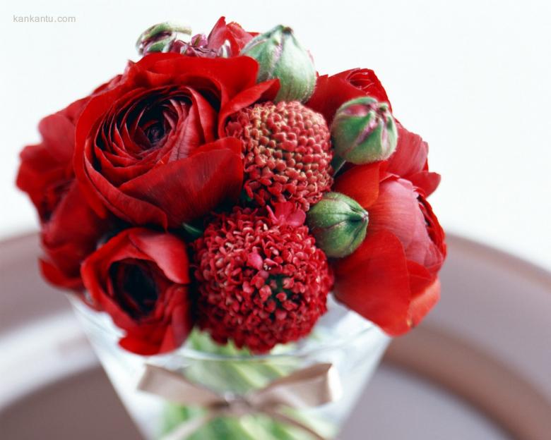 爱情之花