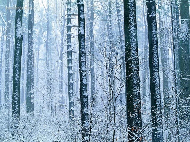 冰雪融融