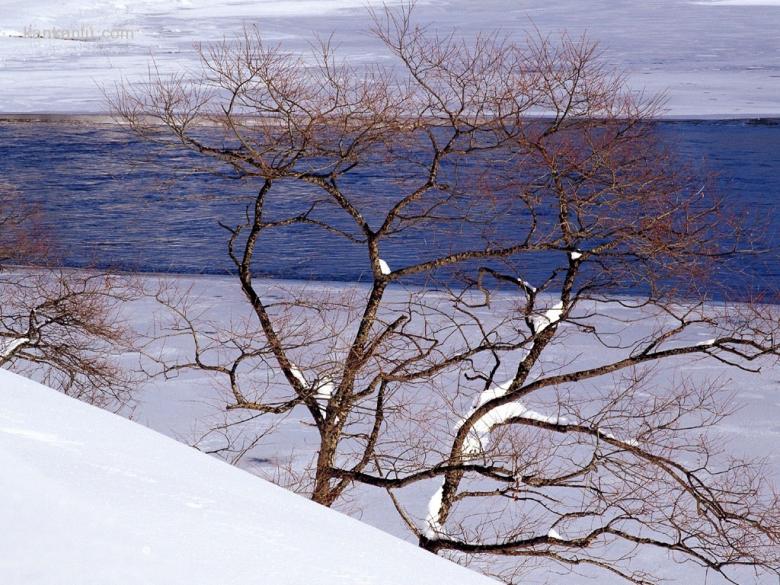 冰雪融融