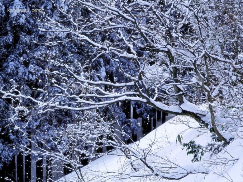 冰雪融融