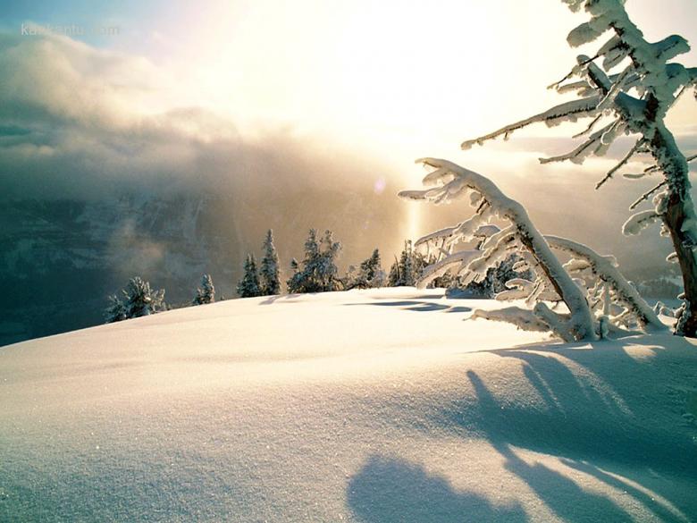 冰雪融融
