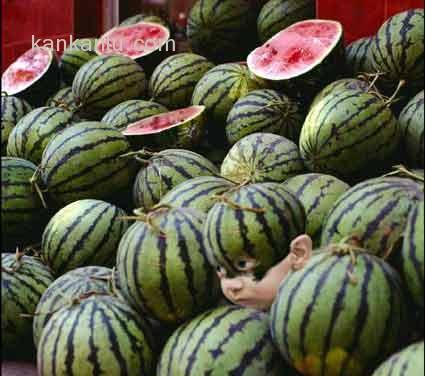 金牌卧底