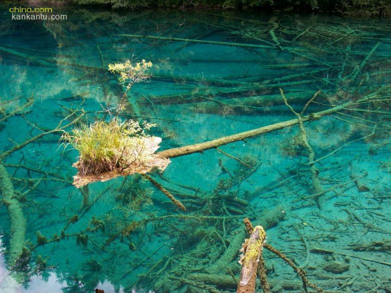 潺潺流水