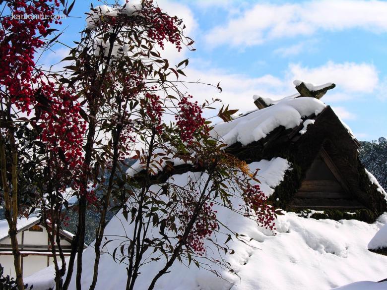 皑皑雪景