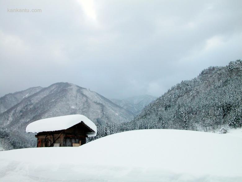 皑皑雪景