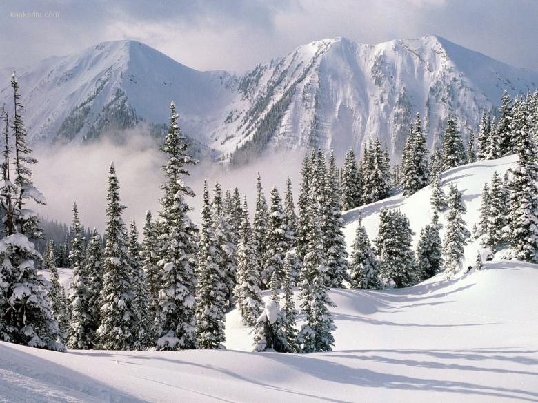 皑皑雪景