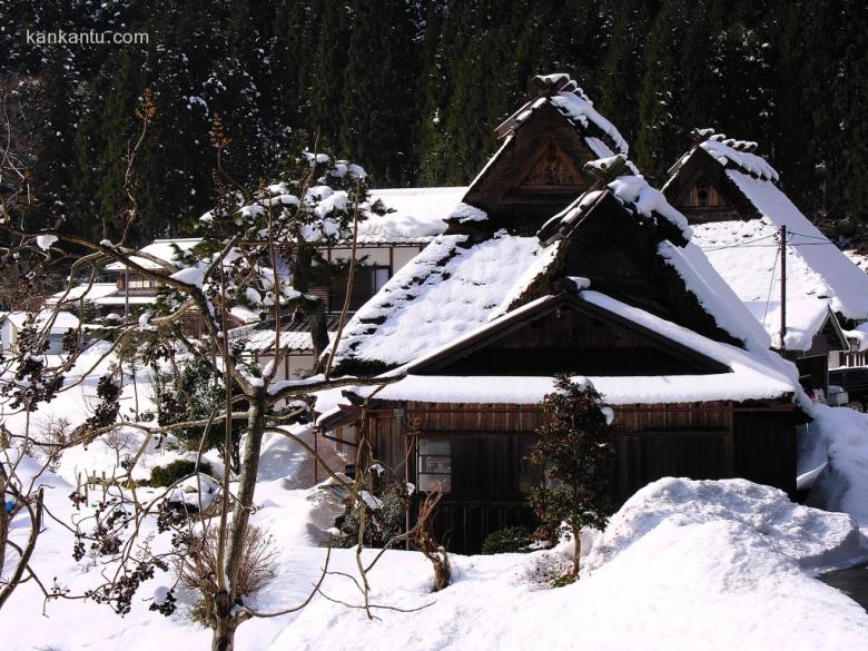 皑皑雪景