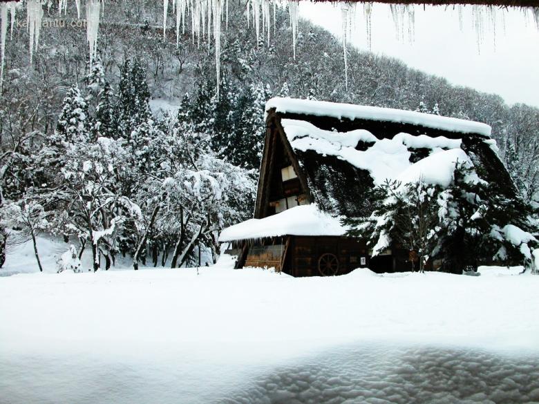 皑皑雪景