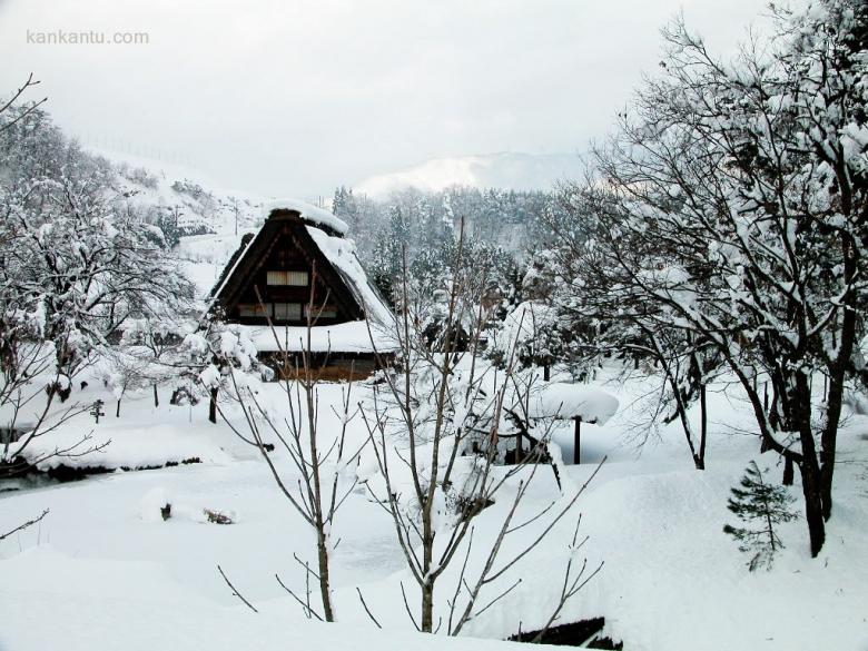 皑皑雪景