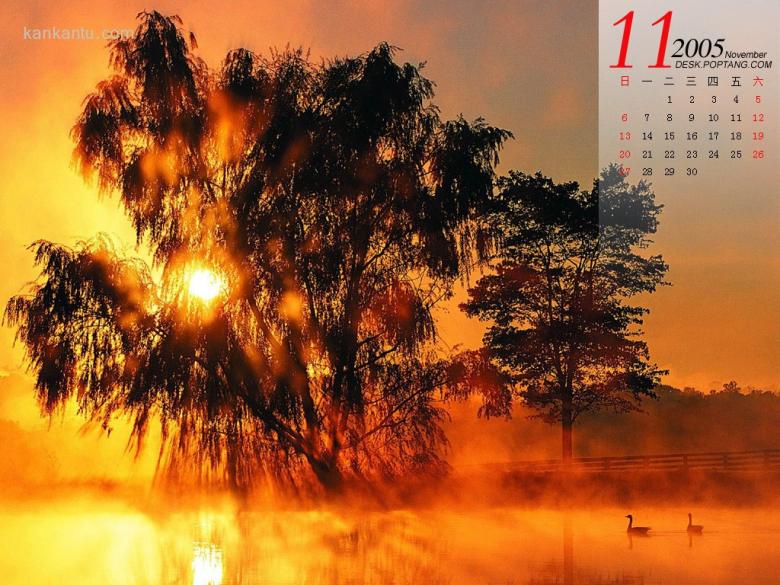 11月精彩月历