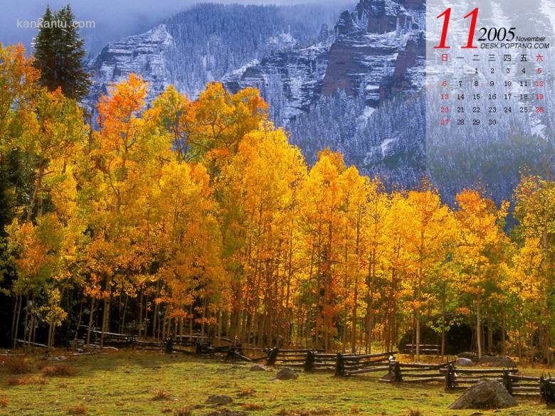 11月精彩月历