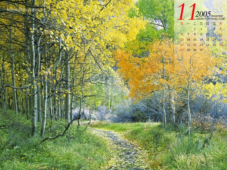 11月精彩月历