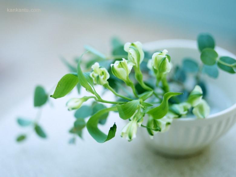 温馨家居壁纸专辑