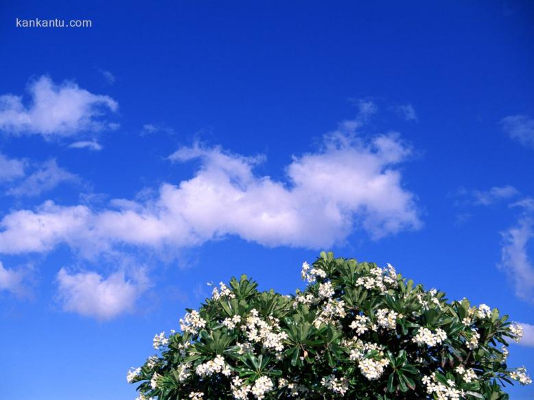 美丽自然-蓝天白云
