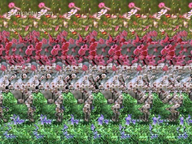 看看谁的眼力好