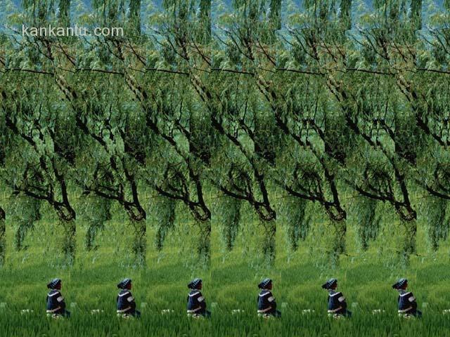 三维图欣赏
