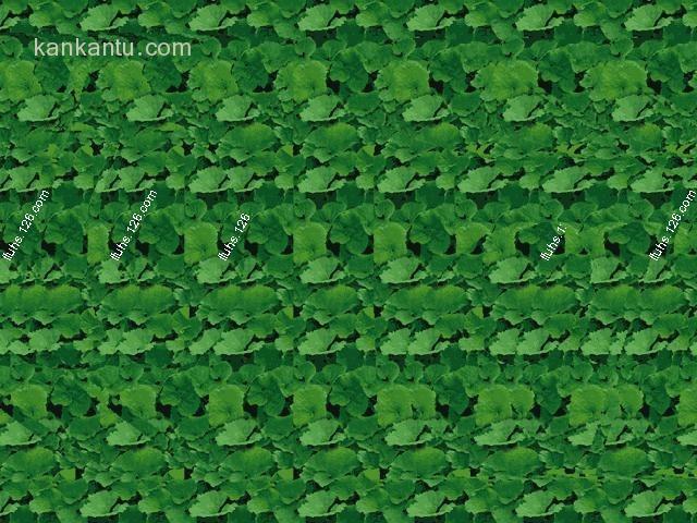 三维图欣赏