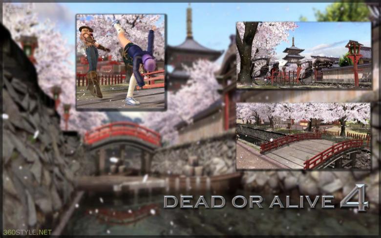 生与死4宽屏壁纸