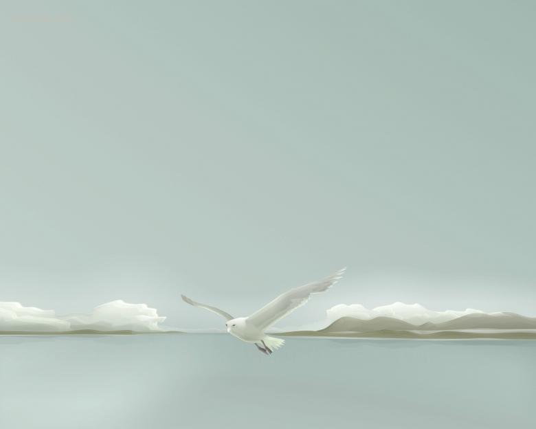 矢量美景