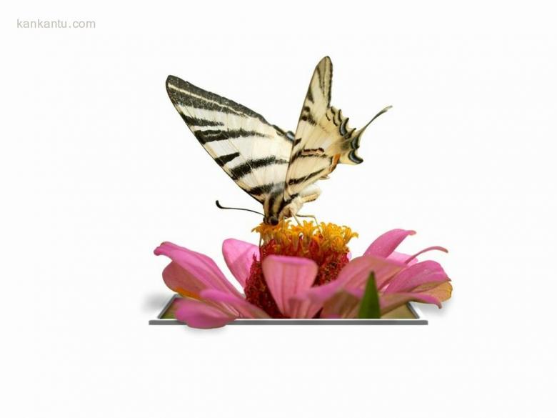 3D-逃离画框