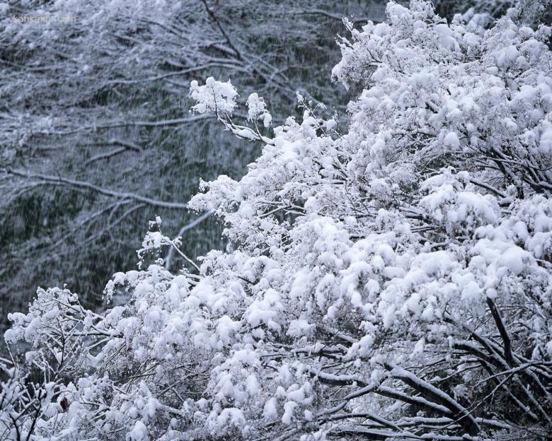 1280×1024雪景壁纸