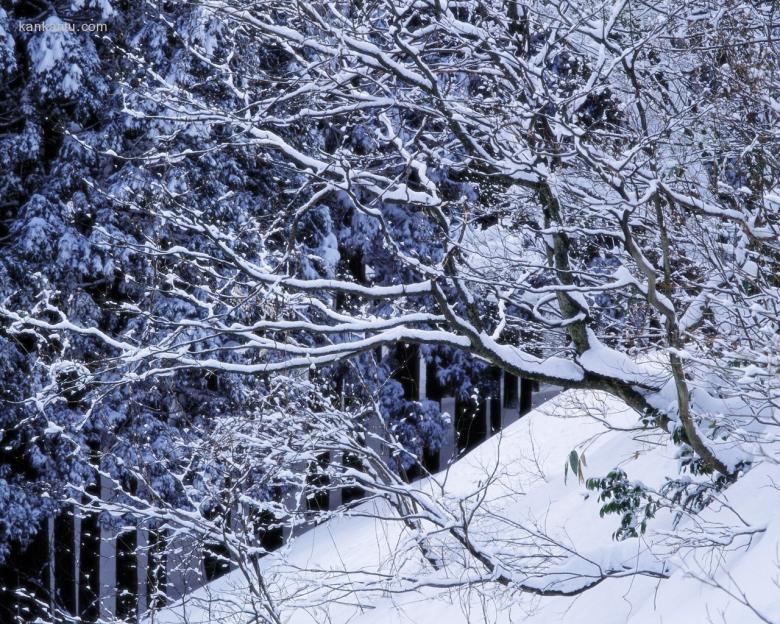 1280×1024雪景壁纸