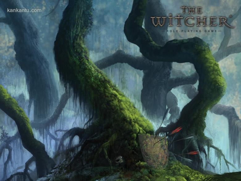 巫师The Witcher 桌面