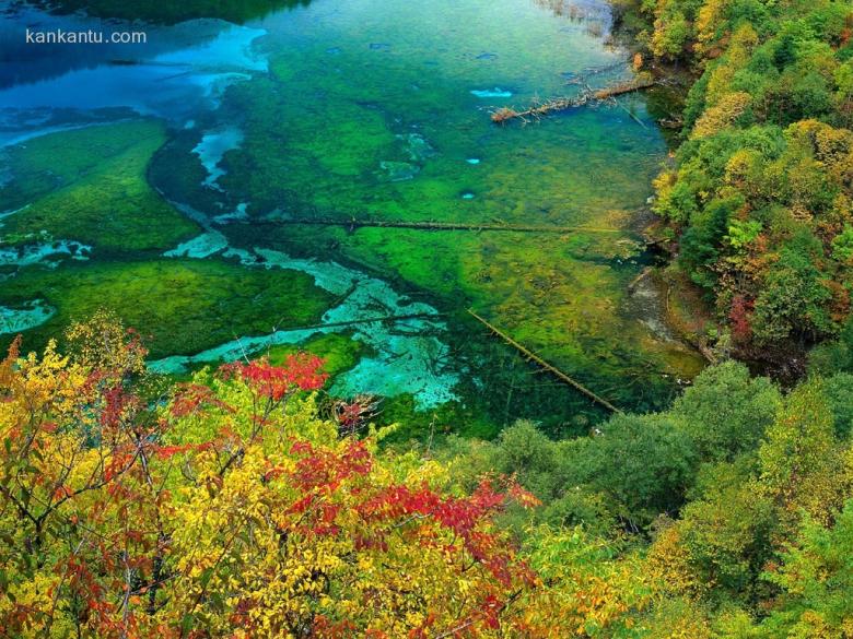 斑斓秋天 桌面