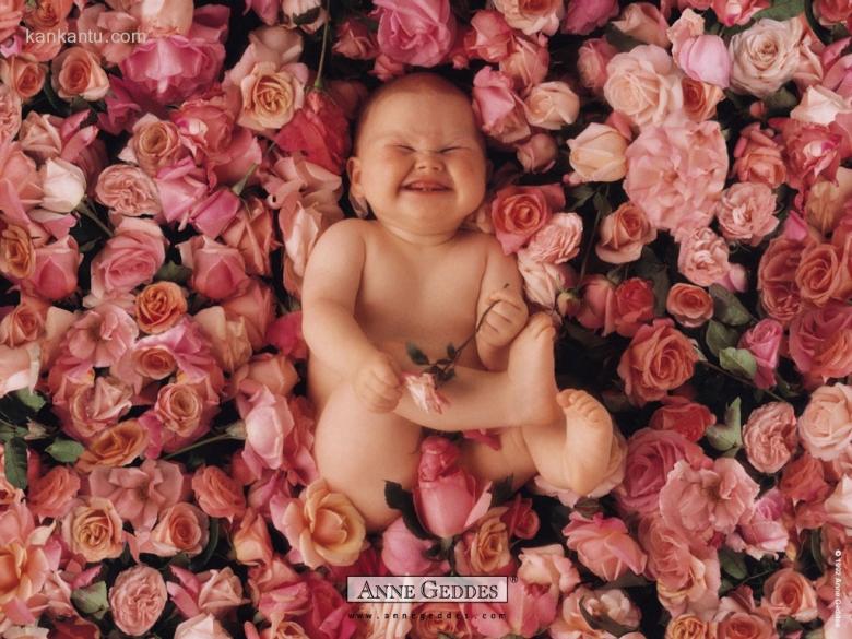 AnneBaby壁纸
