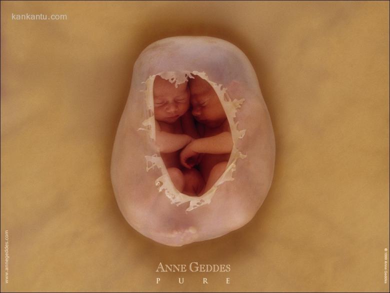 AnneBaby壁纸