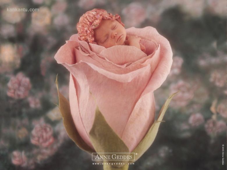 AnneBaby壁纸