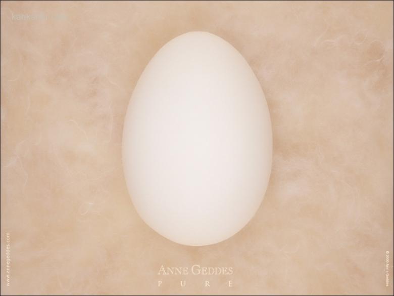 AnneBaby壁纸