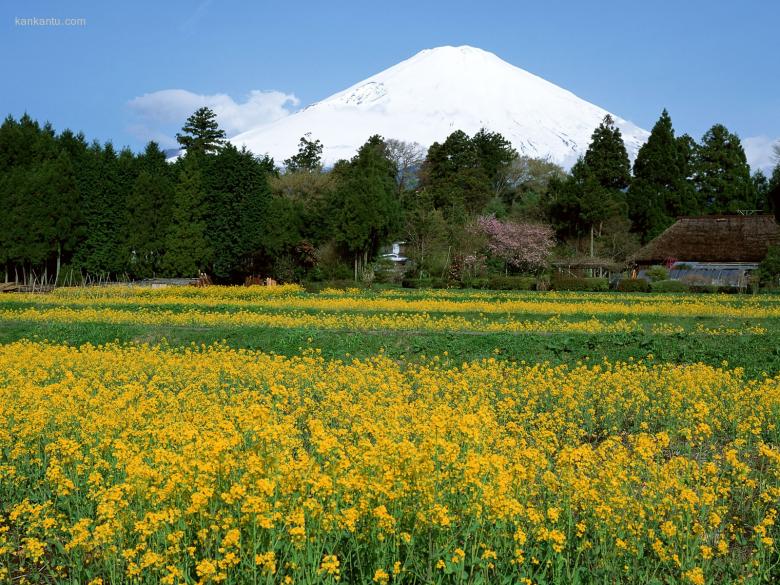 富士山风光