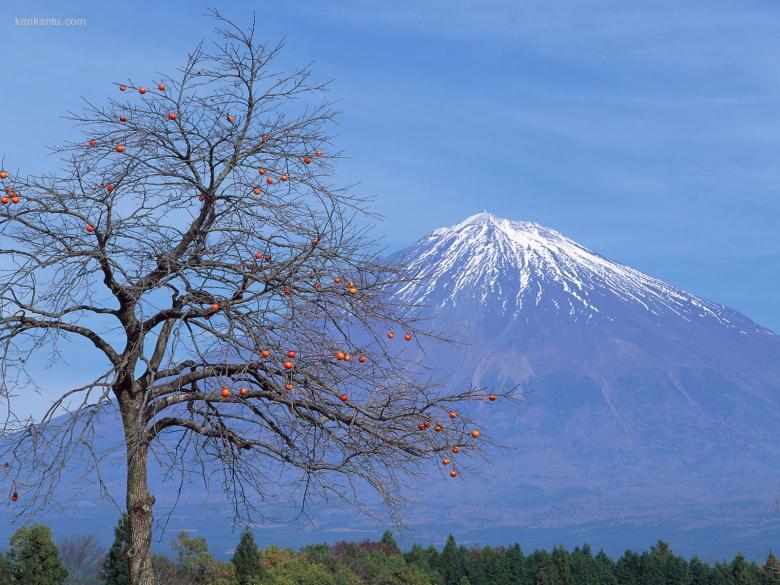 富士山风光