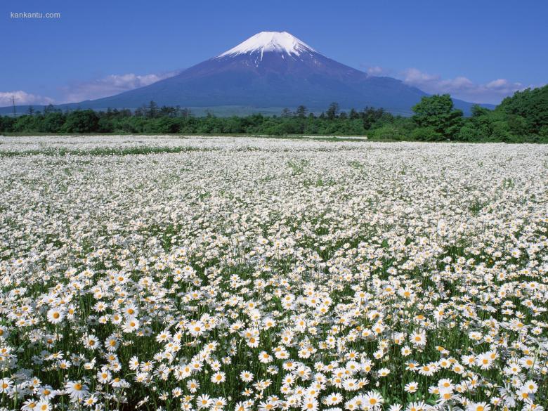 富士山风光