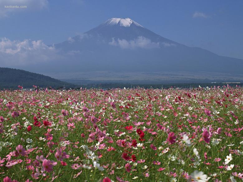 富士山风光