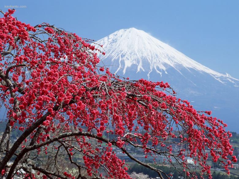 富士山风光
